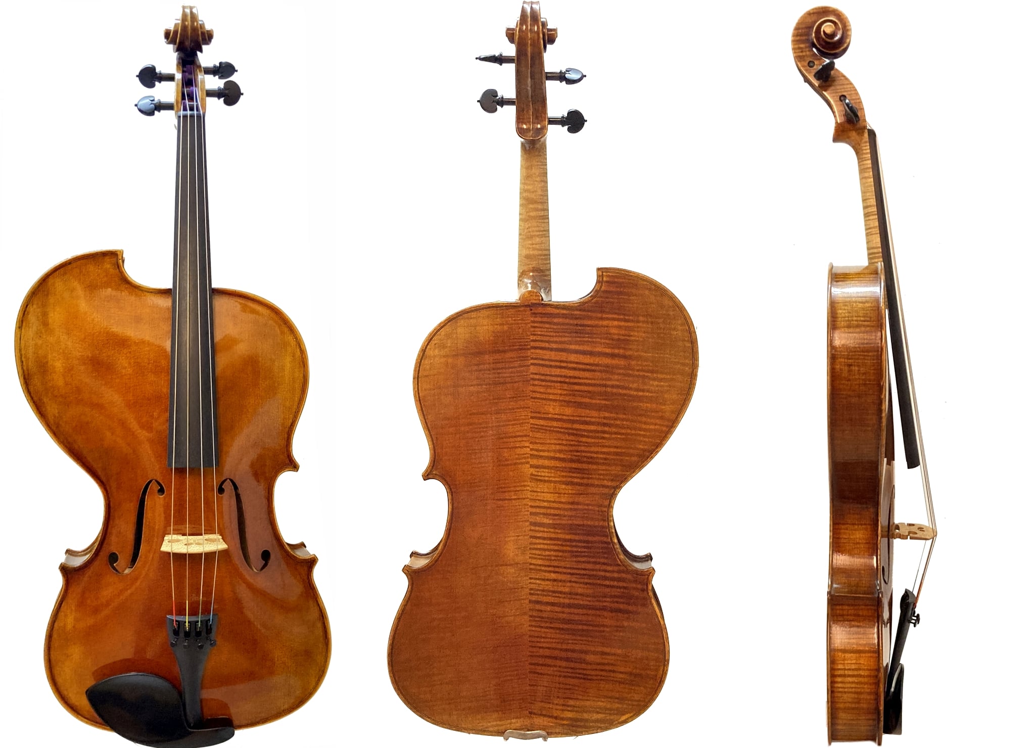 Viola Forte von Walter Mahr Bubenreuth 2020